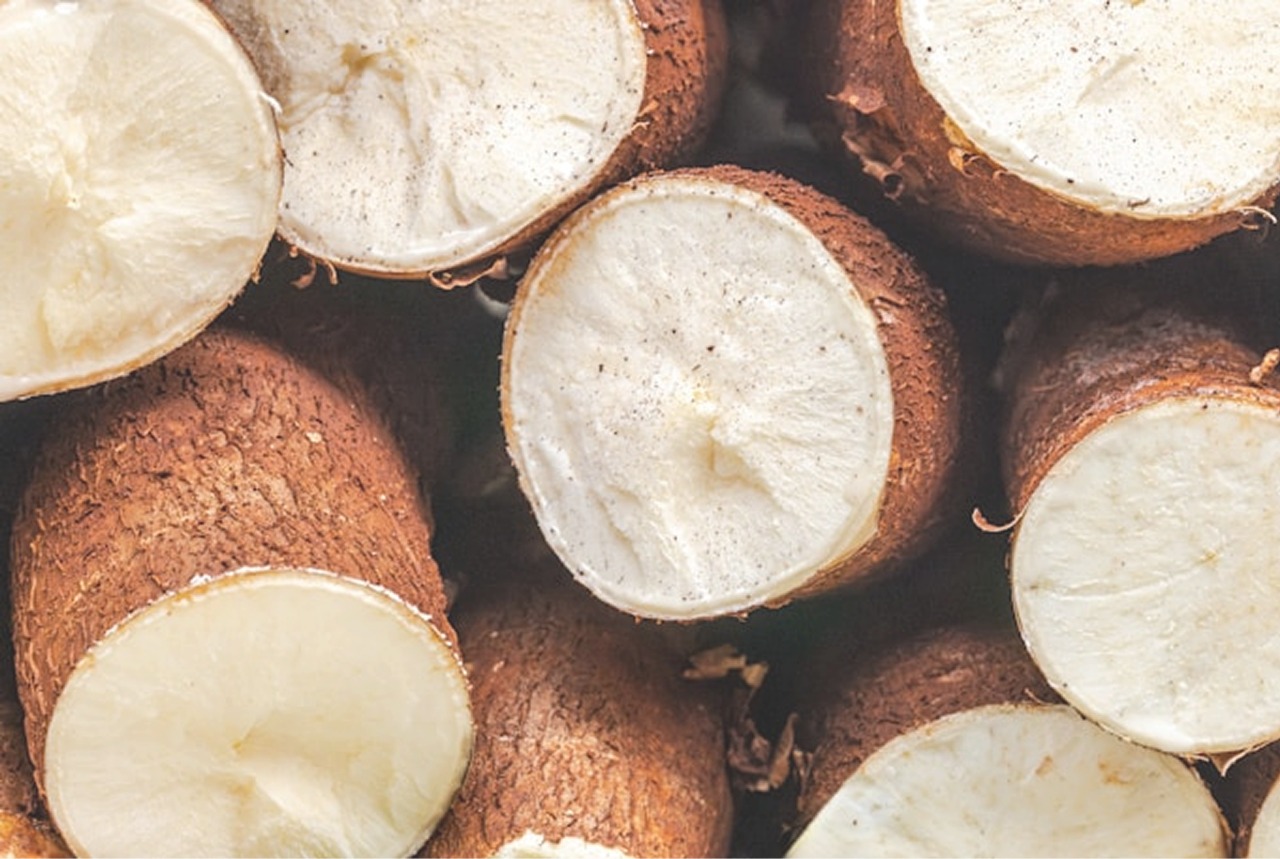 Yuca