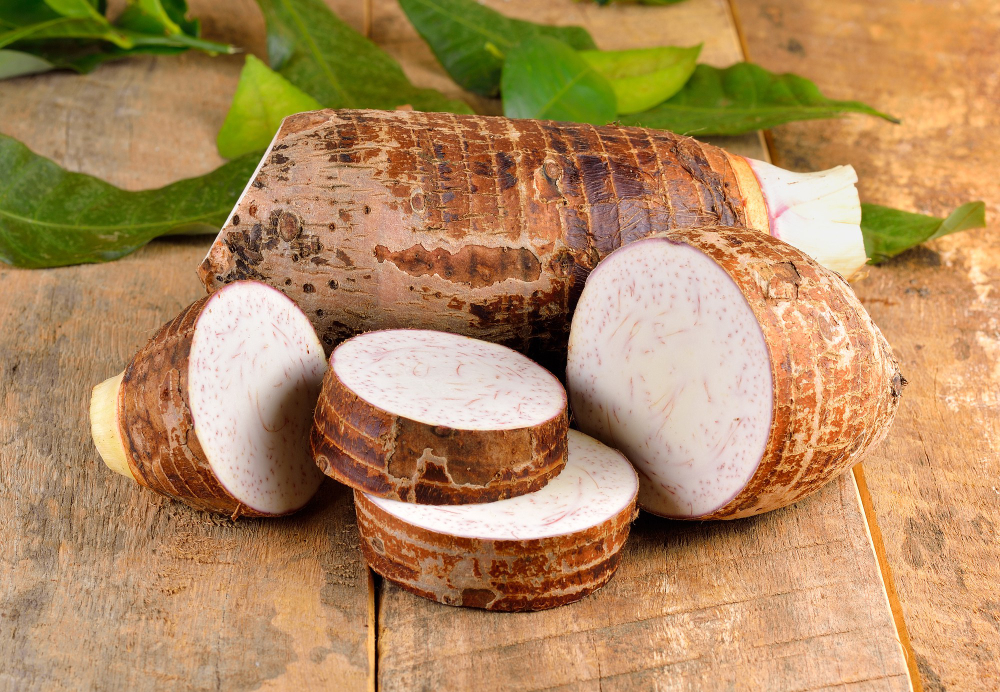 Malanga